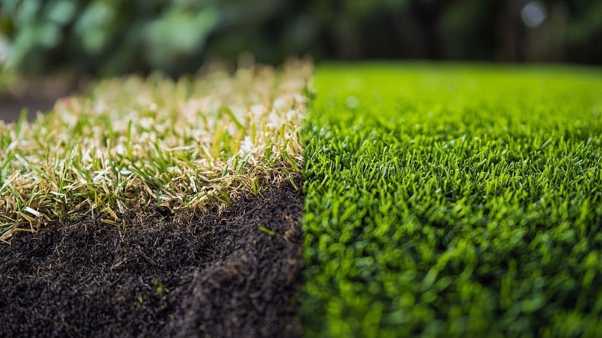 Scarificateur Lidl : mon avis après test sur une pelouse fatiguée : recette surprise qui intrigue les gourmands